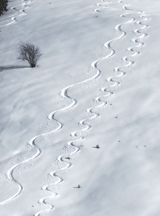godille ski définition
